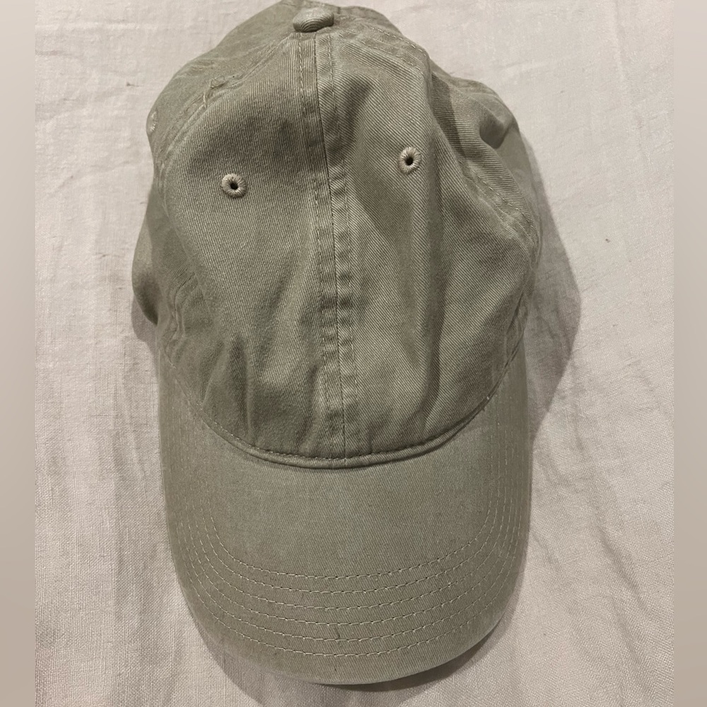 Tan + Lines Dad Hat